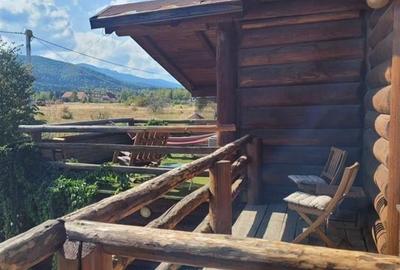 FILM! Resedinte montane,mobilate,echipate, jacuzzi,piscina,pretios areal,Sambata - 15