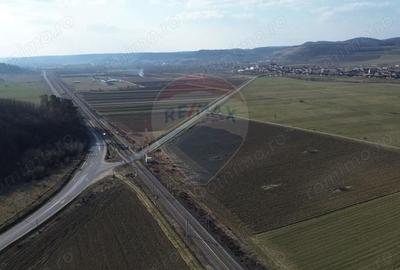 Teren de 19319 mp, în Hoghilag - 2