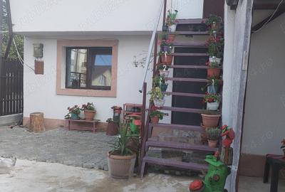 Casa Cotinesti - 1