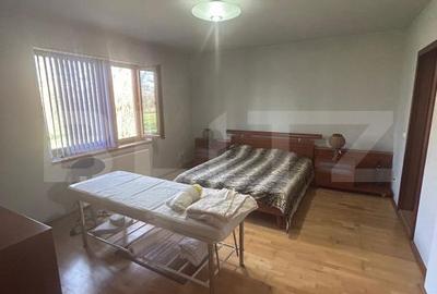 Casă cu 6 camere cu Teren 3982 Mp în Remetea Mare - 15
