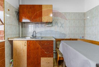 Apartament cu 2 camere decomandat în Craiter - 24