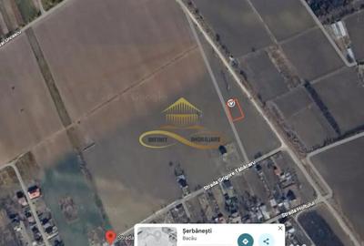 Teren de 897 mp, în Șerbănești - 1