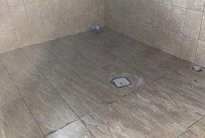 Casă cu 2 camere cu Teren 2880 Mp în Țipar - 13