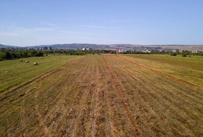 Teren intravilan, 2.800 m2, Cluj-Napoca - 3