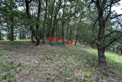 Teren cu priveliște și pădure pentru cabane de vânzare î Teren cu priveliște și pădure pentru cabane de vânzare î - 10