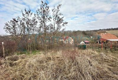 Teren Construcții intravilan de 1000 mp, în Episcopia Bihorului - 3