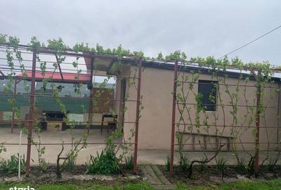 Spațiu comercial, în Vânători - 6