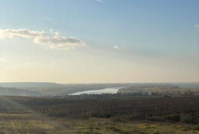 Teren de 380000 mp, în Rasova - 10