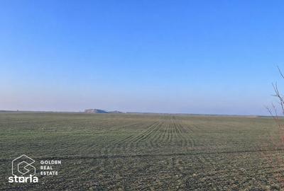 Teren de 32000 mp, în Vladimirescu - 2