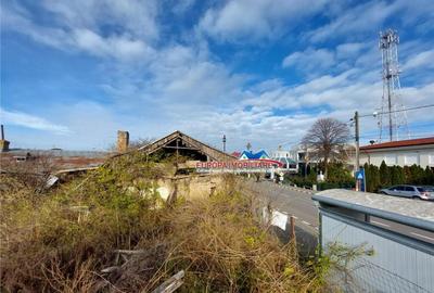 Teren de localitatea Murighiol - 8