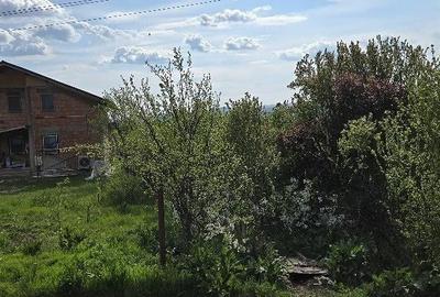 Teren de 5000 mp, în Vernești - 4