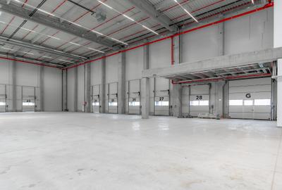 Depozit Hala Autorizata ISU 600 mp -15000 mp Depozit Hala Autorizata ISU 600 mp -15000 mp - 11