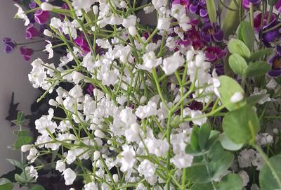 Apartament cu 2 camere semidecomandat în Central - 1