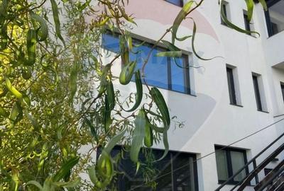 Vand apartament, zona Grigorescu - 5