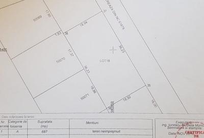 Comuna berceni ,str Miorita Comuna berceni ,str Miorita - 5