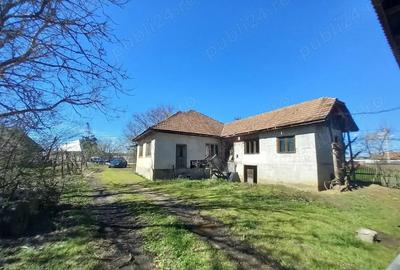 Casa de vanzare + anexe - 2
