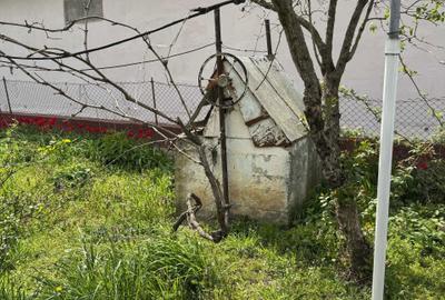 Casă cu 2 camere în Dragșina - 5