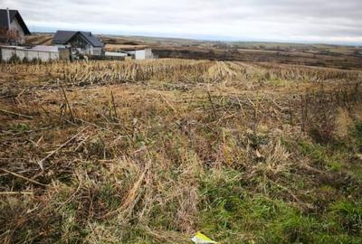 Teren intravilan, 5000mp, Siret - 3