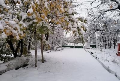 Casă cu 4 camere cu Teren 2200 Mp în Cotnari - 2