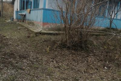 Casa batraneasca in Sat Jijia com Albesti - 4