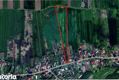 Teren de 16534 mp, în Gruiu - 4