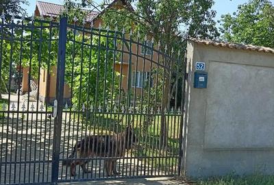 Casă cu Teren 1250 Mp în Brezoaele - 1