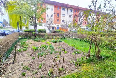 Apartament cu 2 camere semidecomandat în Carpați 1 - 9