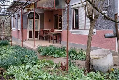 Casă cu 3 camere în Mădăraș - 7