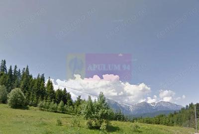 Teren de vanzare la Azuga la Partia Cazacu - 1