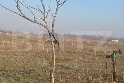 Teren de 405000 mp, în Ivești - 1