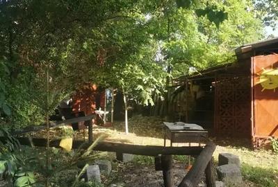 Teren in Contesti, Dambovita - 25