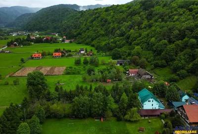 In cartea de povesti a Pietrei Craiului, ansamblu turistic in circuit,Plaiul Foii - 1