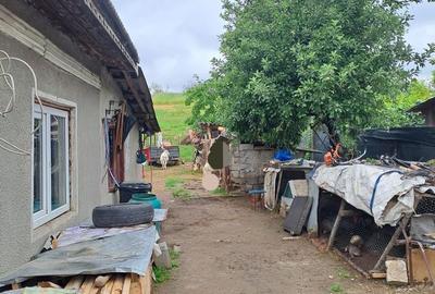 Casă cu 3 camere în Barza - 3
