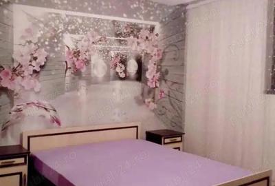 Apartament cu 2 camere decomandat în Frumoasa - 5