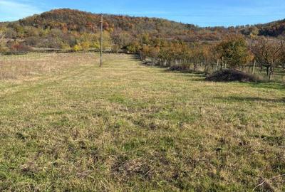 Teren de 5140 mp, în Exterior Vest - 6