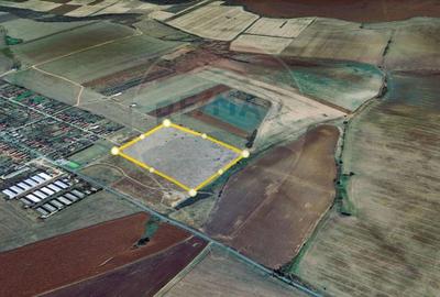 Teren extravilan Alunis-Arad. 92.700 mp Inchiriere pt parc fotovoltaic - 5