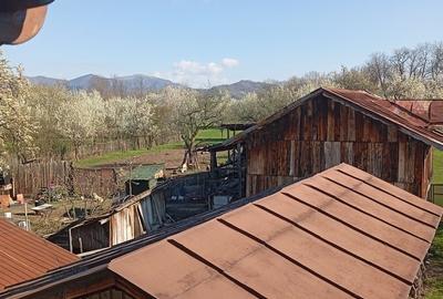 Casă cu 7 camere cu Teren 1974 Mp în Sud - 13
