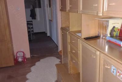 Apartament cu 3 camere semidecomandat în Noua - 1