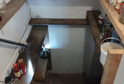 Casă cu 4 camere cu Teren 1500 Mp în Puchenii-Moșneni - 2