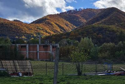 Teren intravilan | 500 mp autorizatie de constructi-de vanzare –Tocile - 4