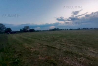 Teren aproape de Bucuresti langa padure - 17