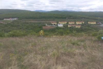 Teren extravilan 3640 mp Strada Stejarului - 7