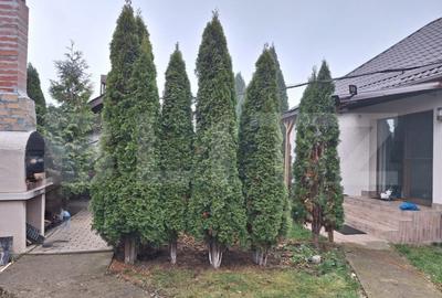 Casa pe parter 4 camere, cu pod mansardabil! - 6