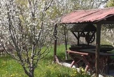 Casa cu gradina, piscina  si alte facilitati, Tarlungeni, Brasov Casa cu gradina, piscina  si alte facilitati, Tarlungeni, Brasov - 6