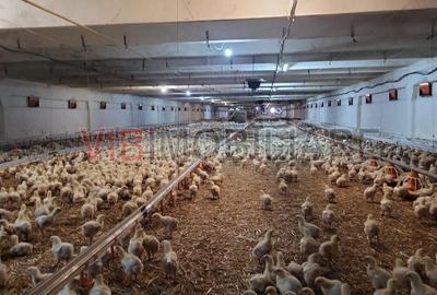 Spațiu comercial, de 5,000 mp, în Podgoria - 1
