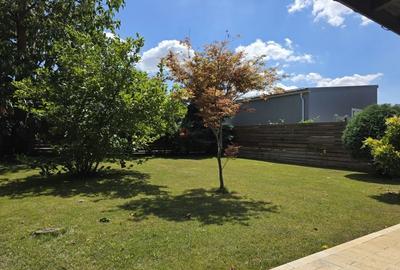 Casă individuală cu 5 camere cu Canalizare în Domnești - 6