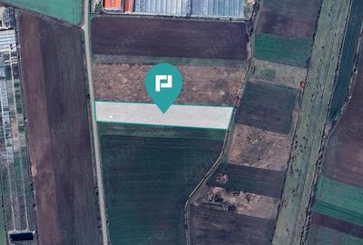 Teren arabil intravilan 10.333mp - Livada - 1