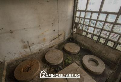 Cladire 3 nivele 529 mp utili - zona Poli 2 - - 7