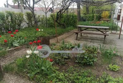 Apartament cu 2 camere decomandat, mobilat în Copou - 8