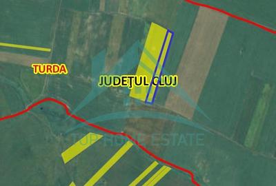 Oportunitate de investitie! De vanzare terenuri extravilane in Turda! - 4